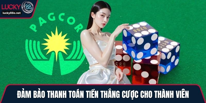 Đảm bảo thanh toán tiền thắng cược cho thành viên
